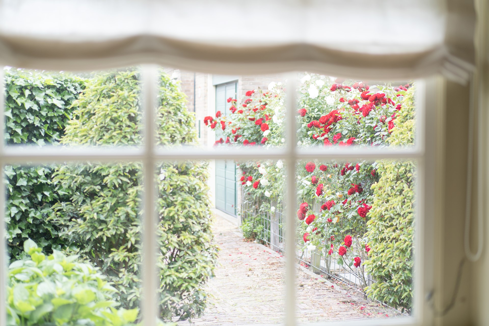 RoelKlaassenPraktijk-42