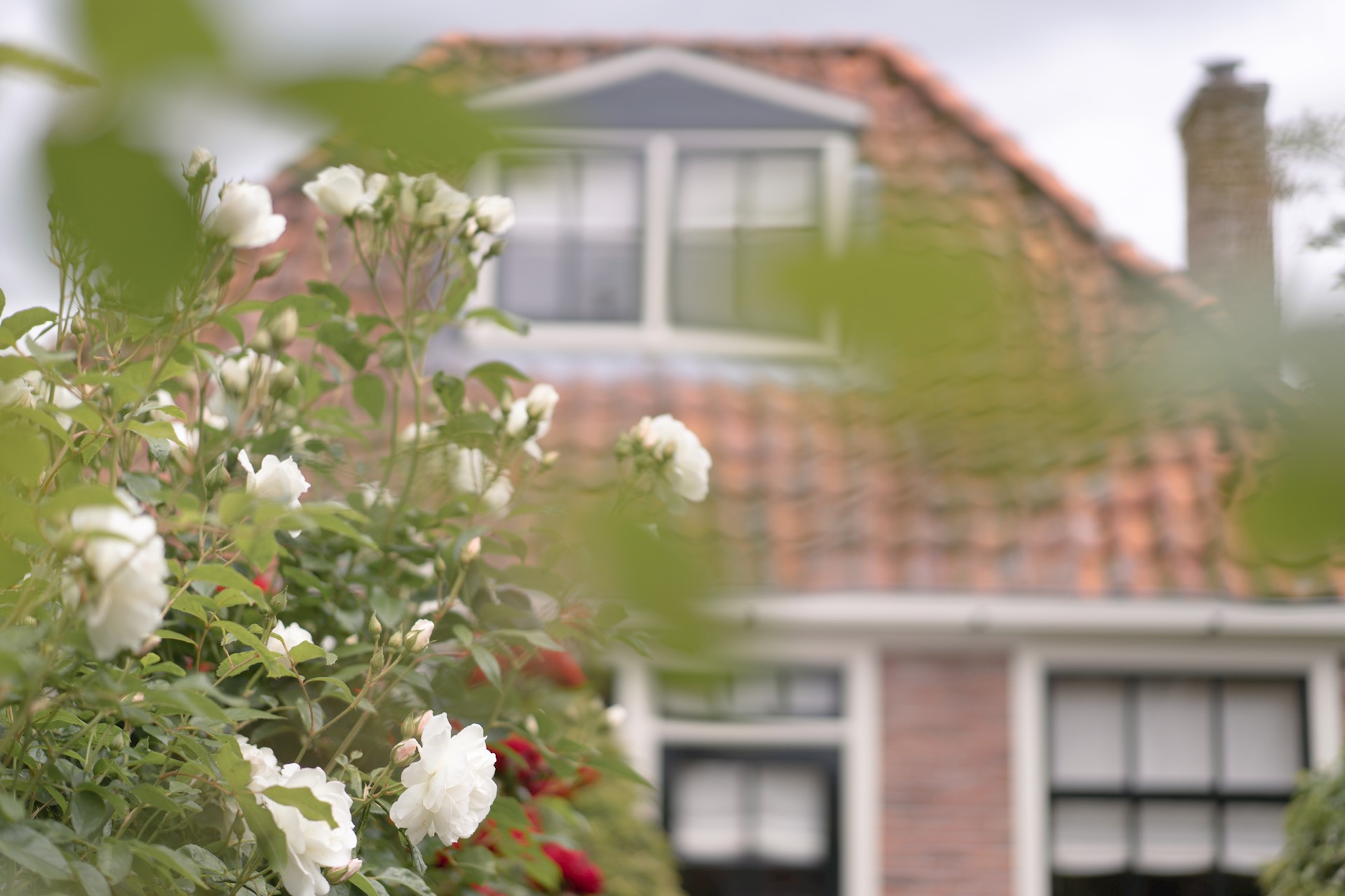 RoelKlaassenPraktijk-17